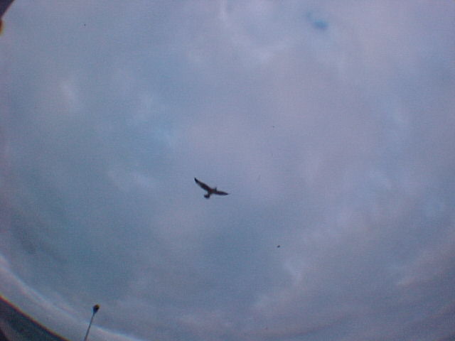 MVC-003F.JPG