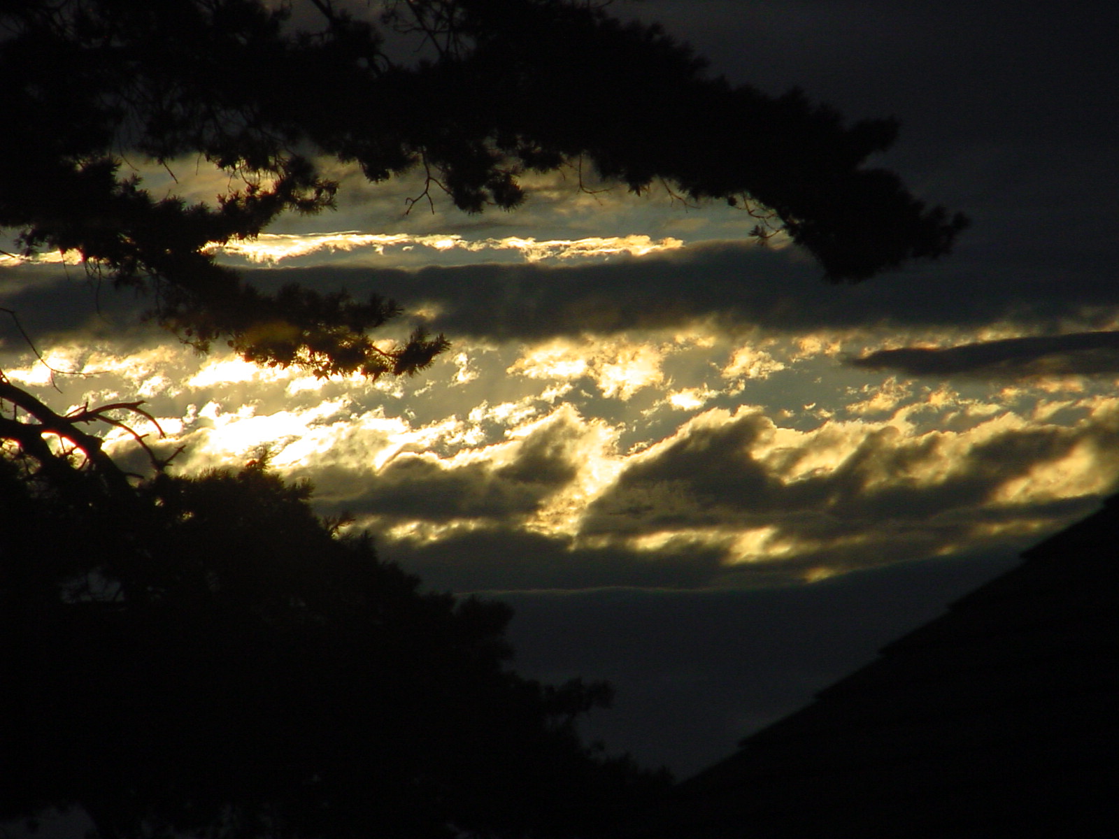 DSC00391.JPG