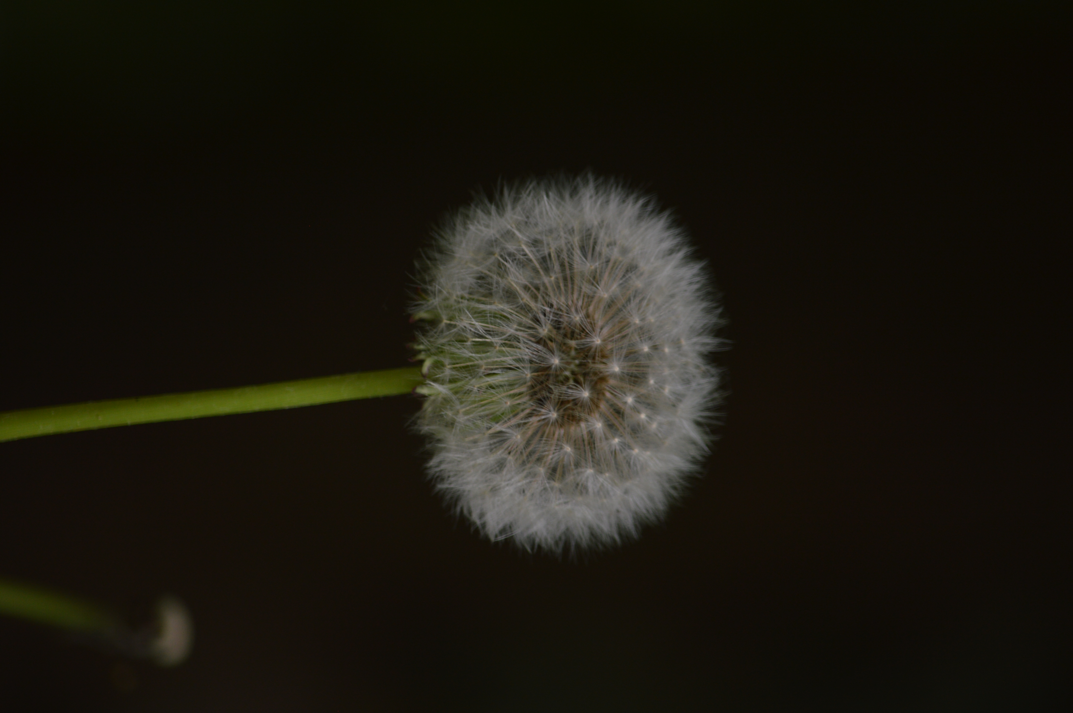 DSC_2045.JPG
