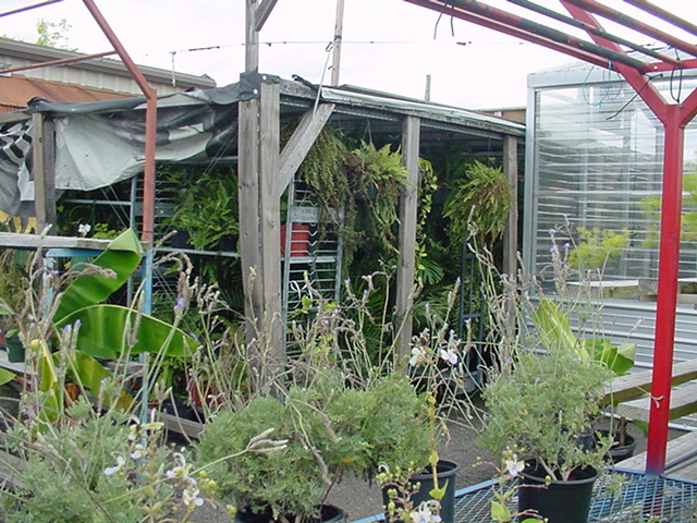 20250718-DSC05786.JPG