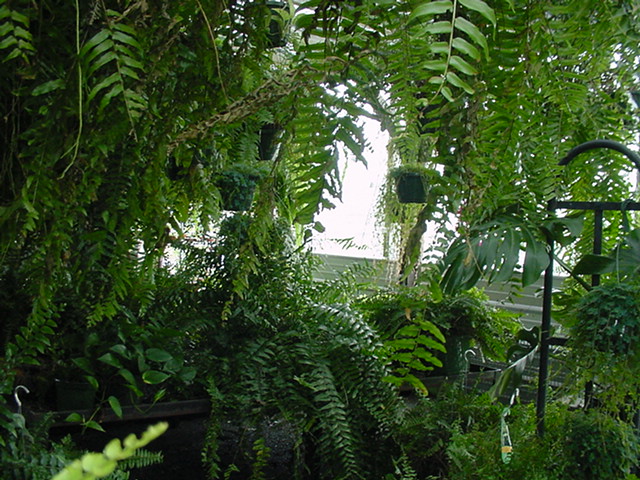 20250718-DSC05788.JPG