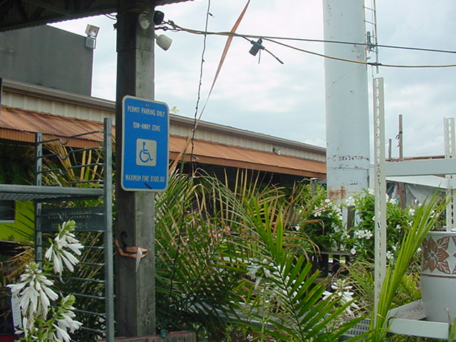 20250718-DSC05792.JPG