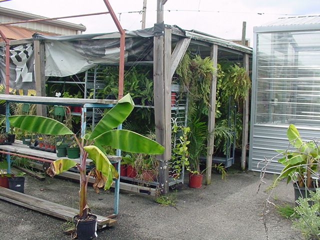 20250718-DSC05793.JPG