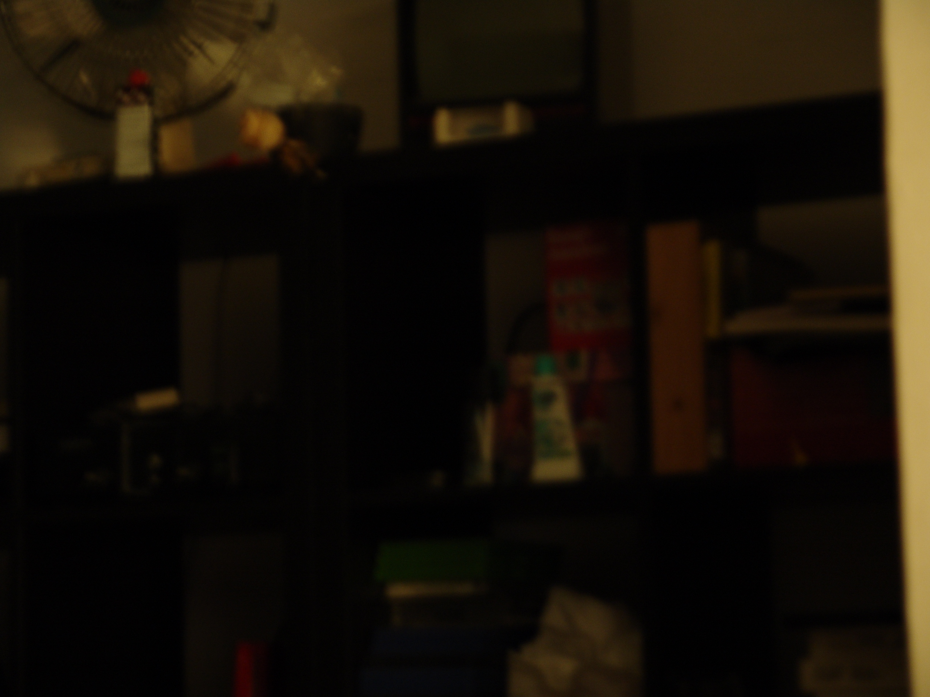 DSC00006.JPG