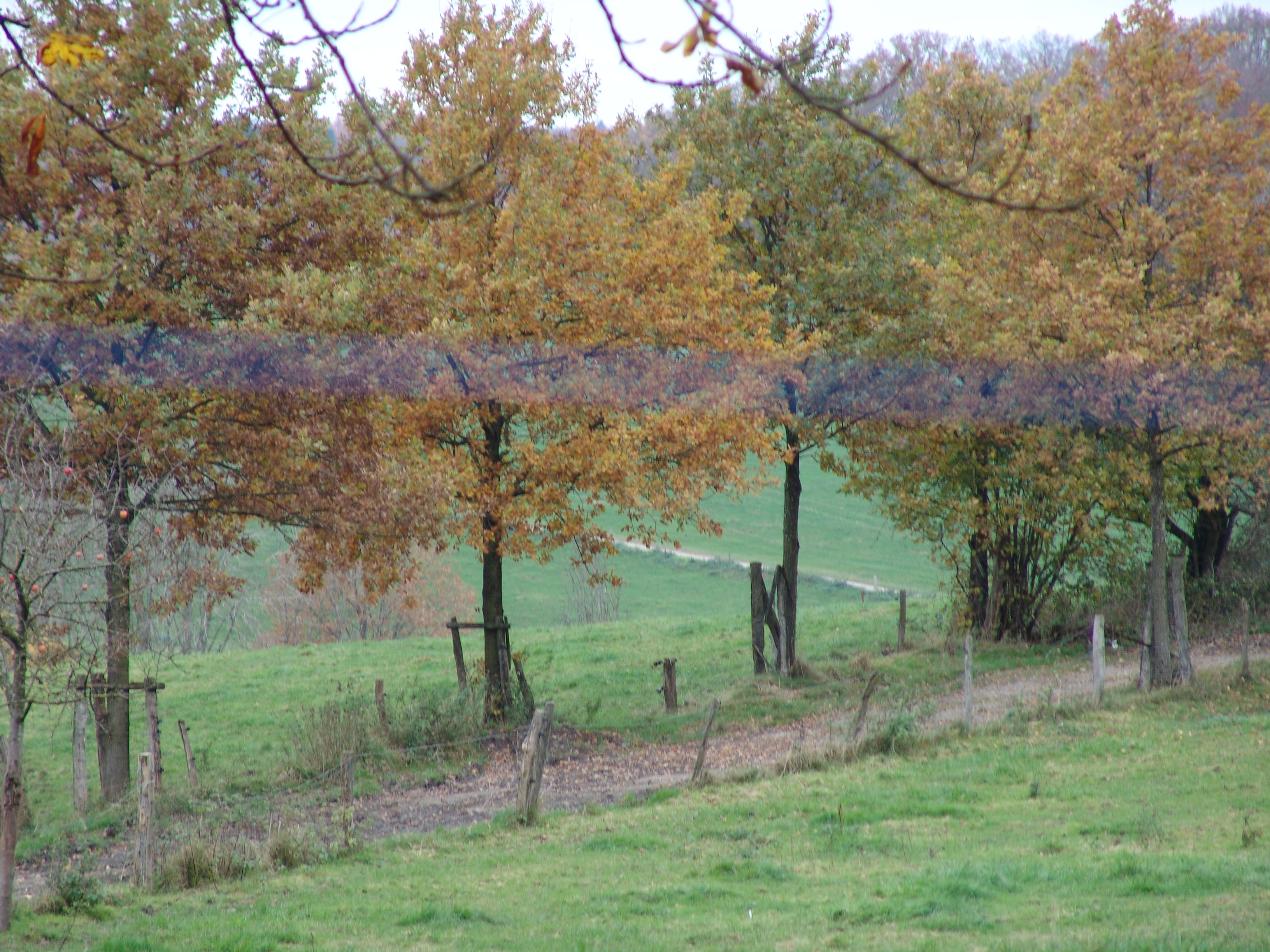 DSC00014.JPG