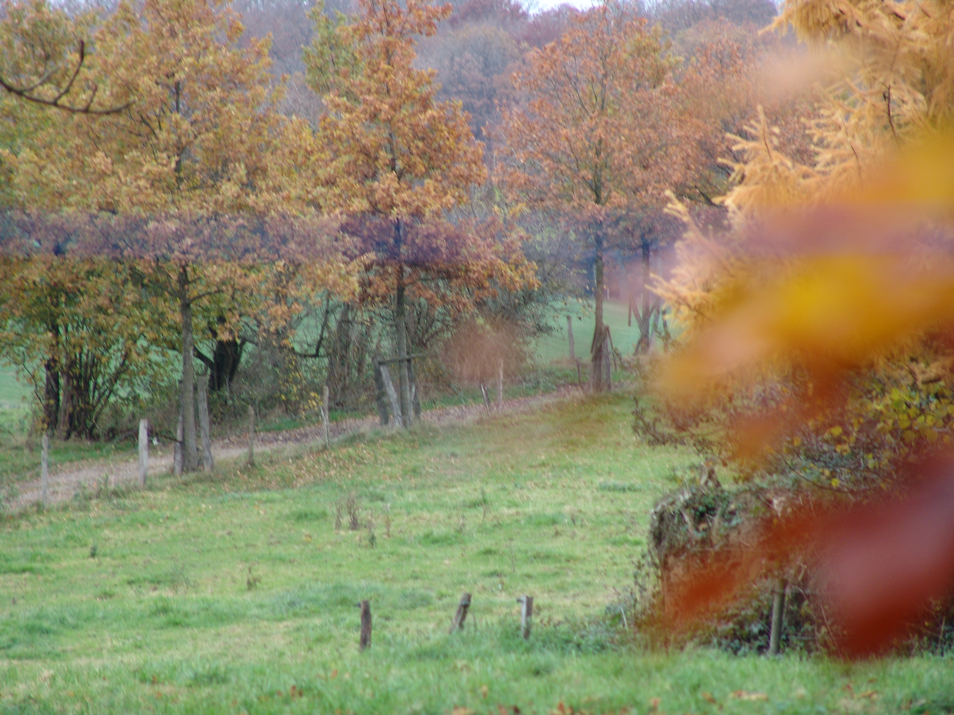 DSC00015.JPG