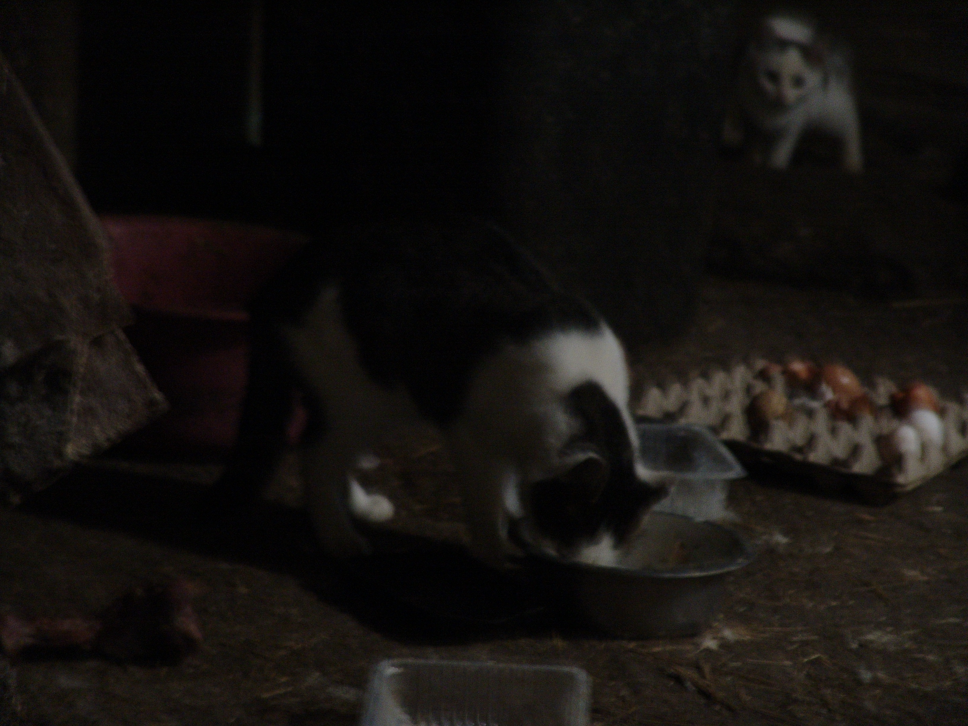 DSC00020.JPG