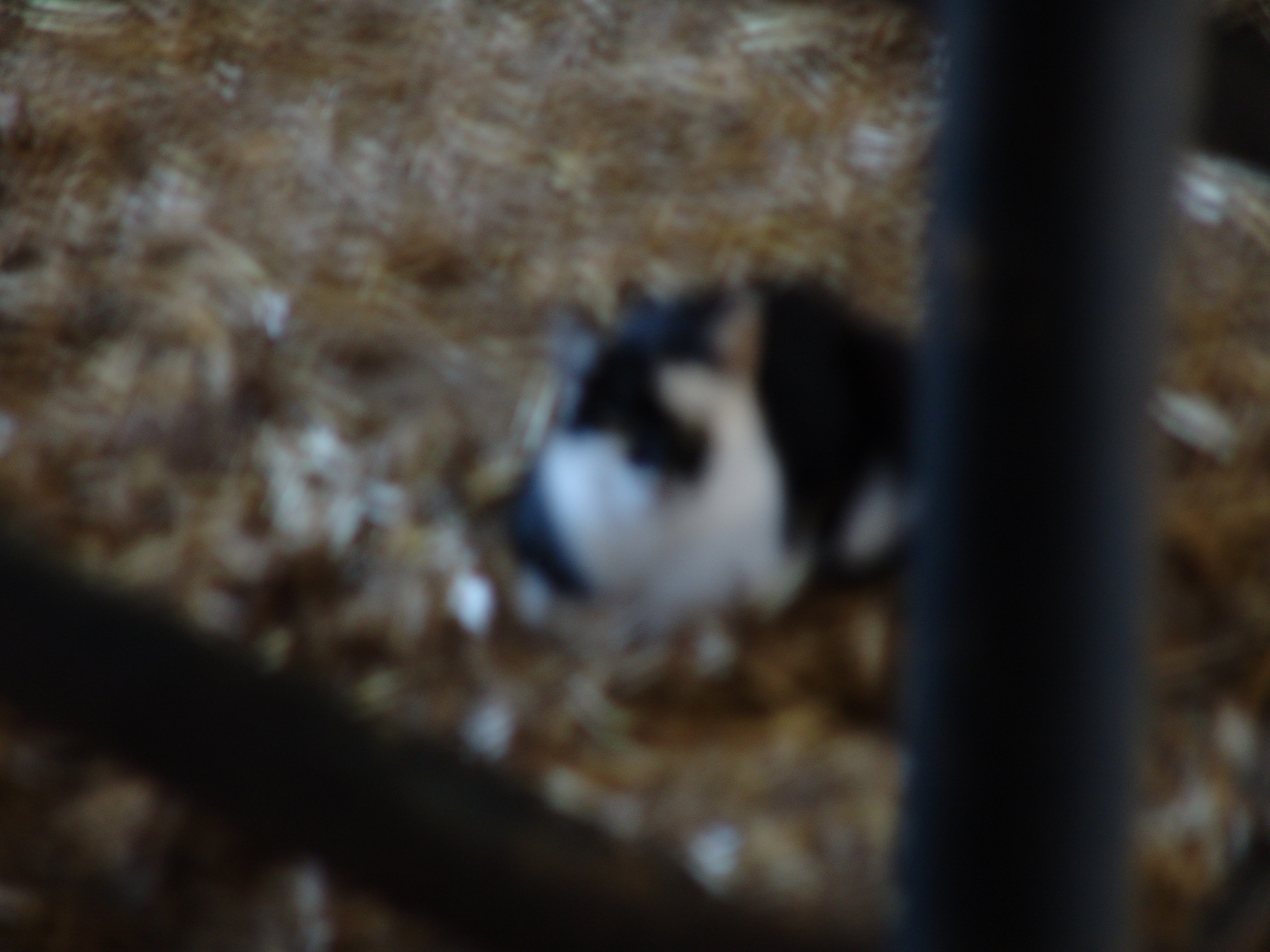 DSC00028.JPG