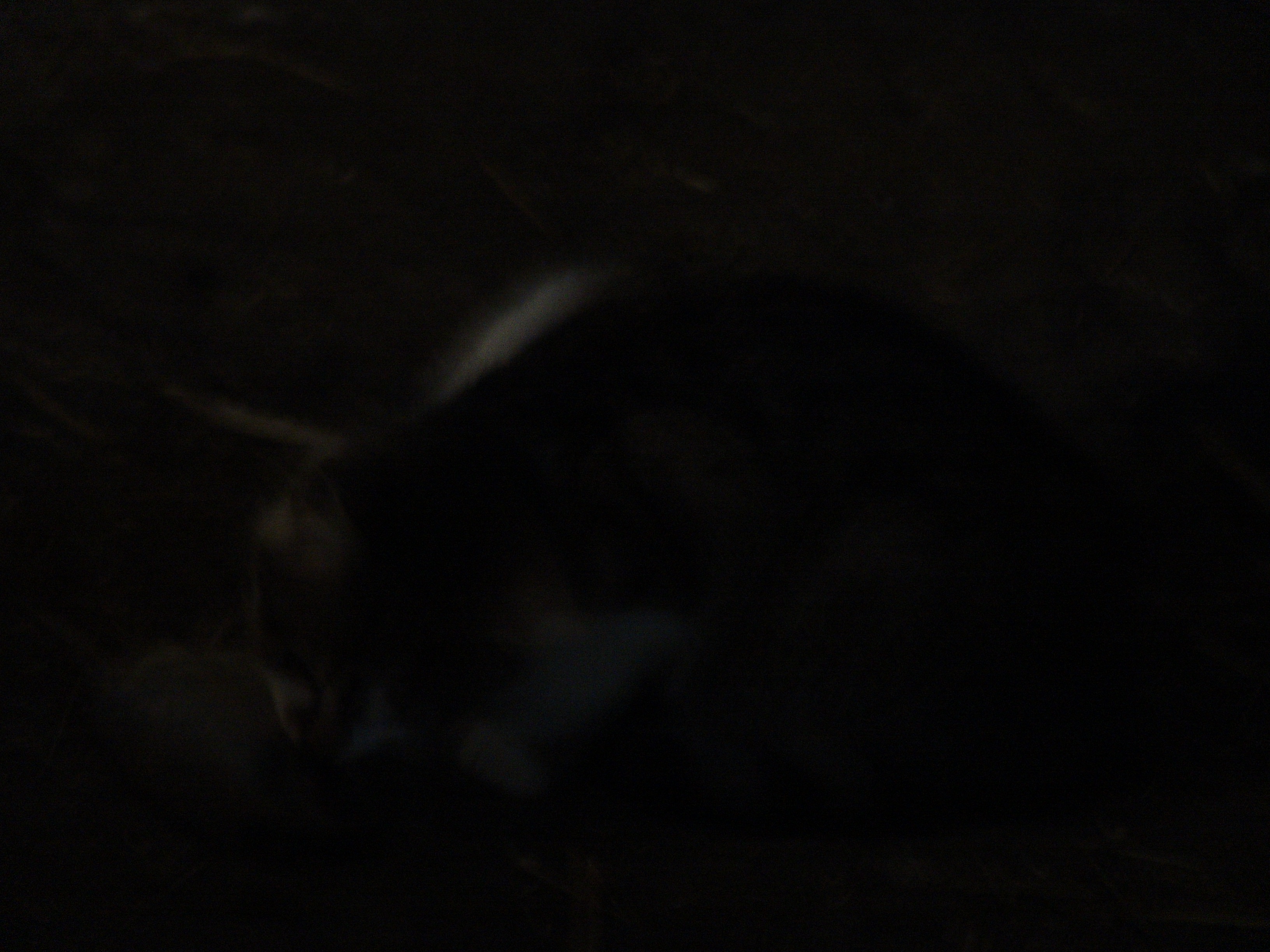 DSC00033.JPG