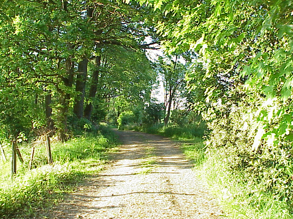 MVC-026X.JPG