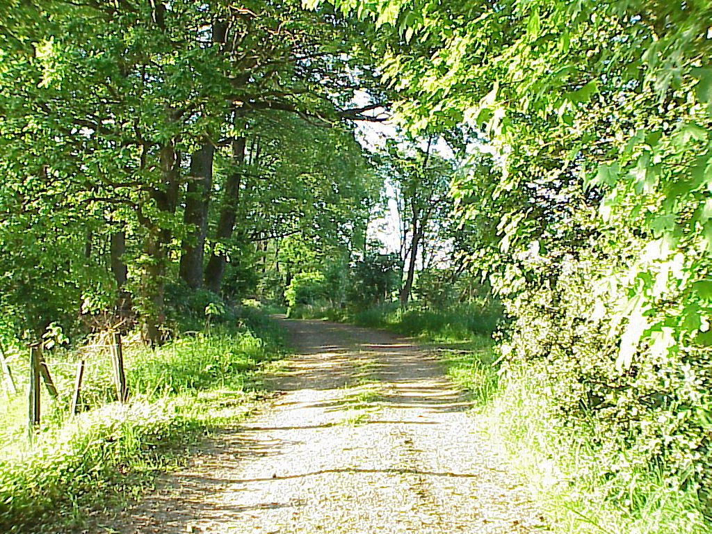 MVC-027X.JPG