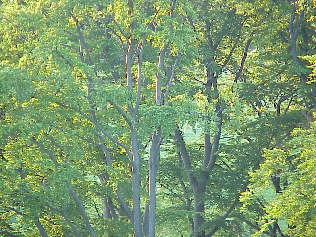 MVC-049X.JPG