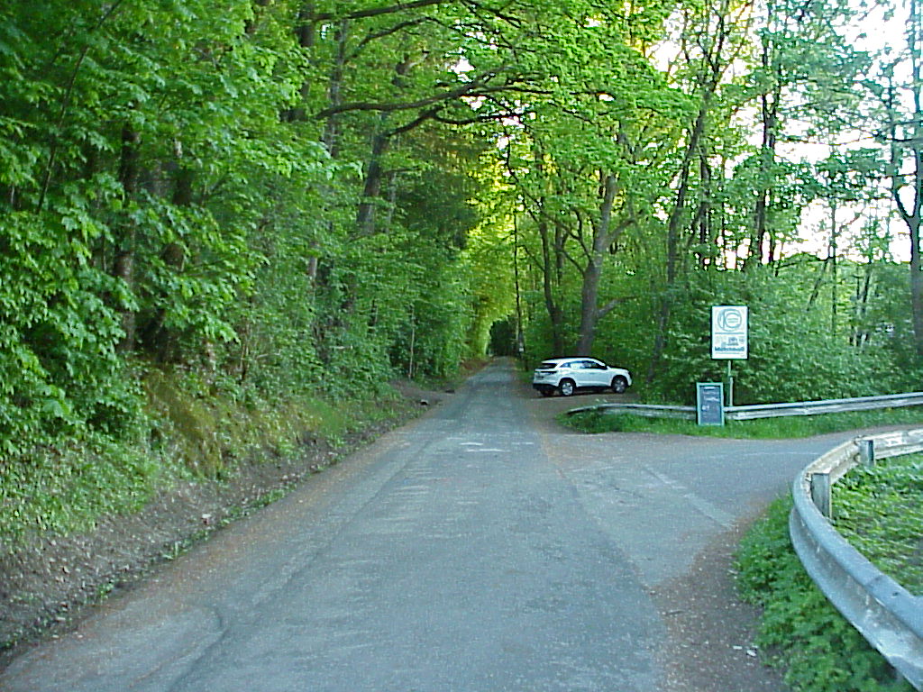 MVC-084X.JPG