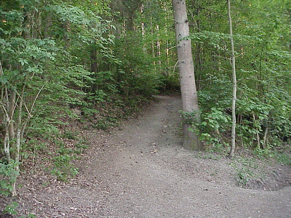 MVC-085X.JPG