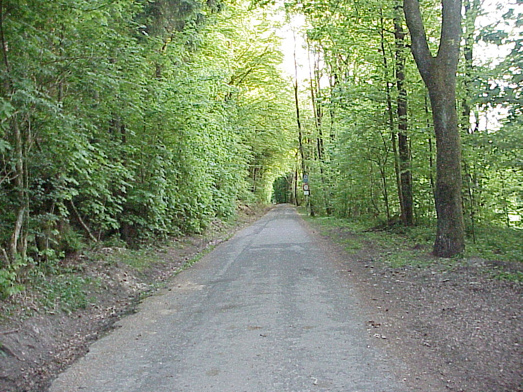 MVC-086X.JPG