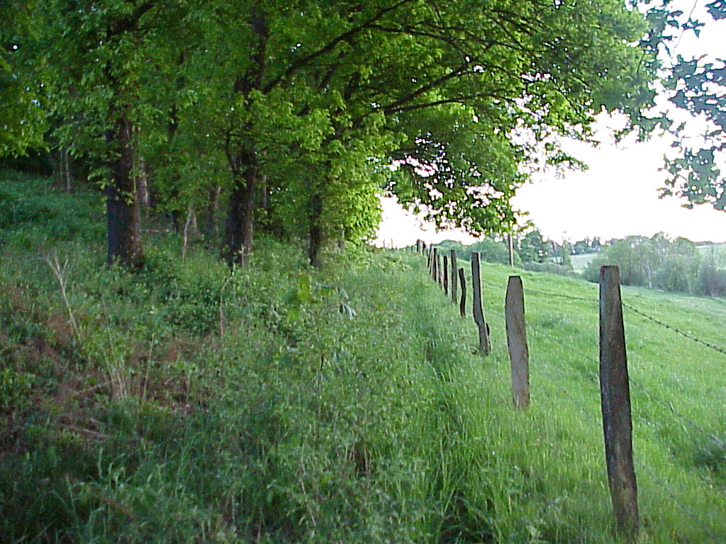 MVC-097X.JPG