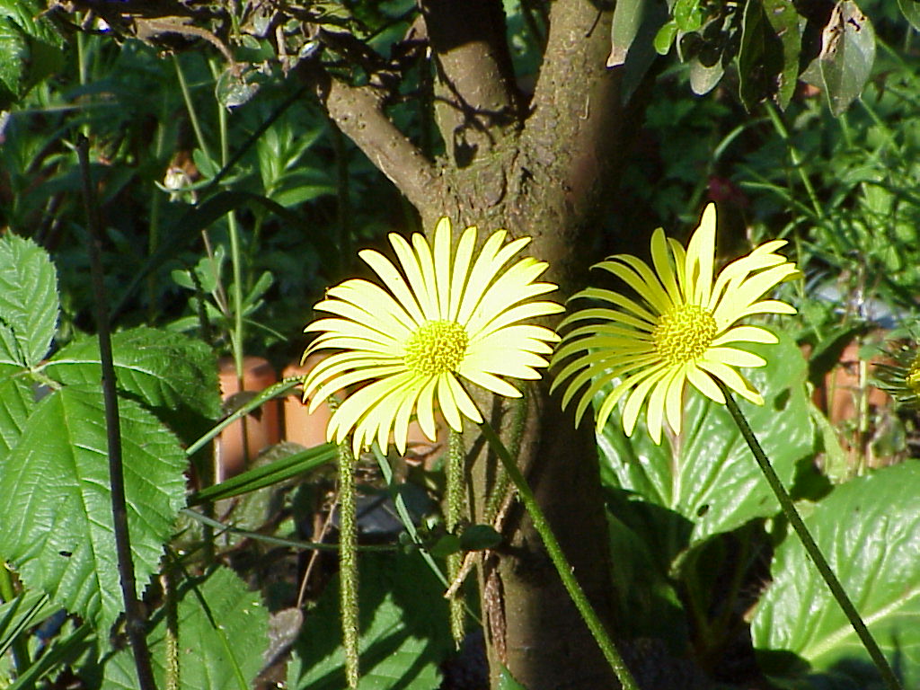 MVC-004X22.JPG