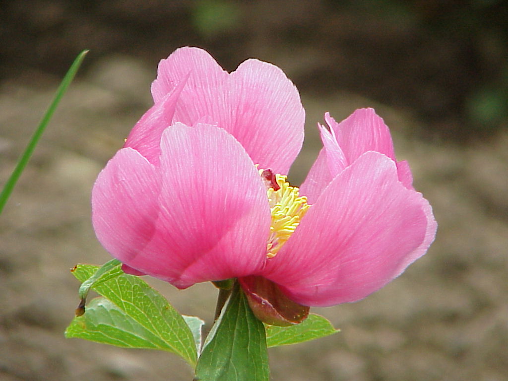 MVC-065X.JPG