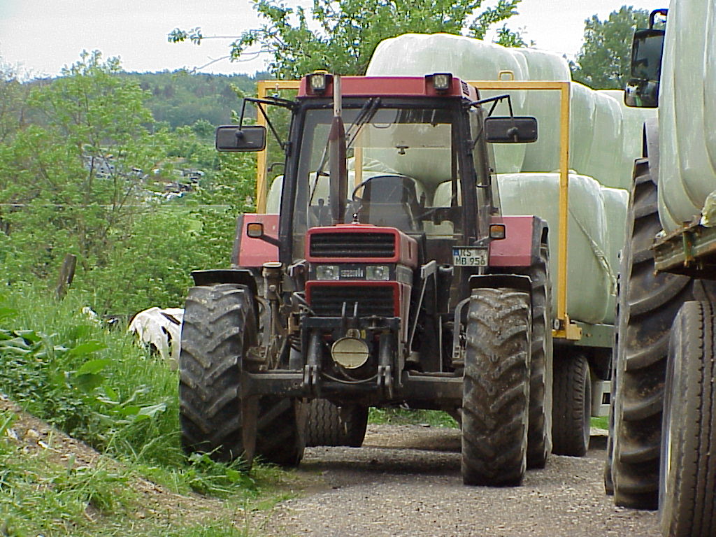 MVC-068X.JPG