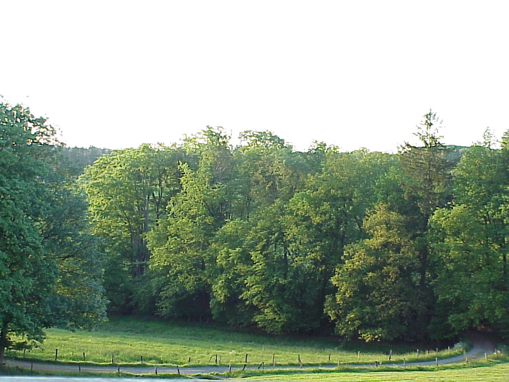 MVC-045X.JPG