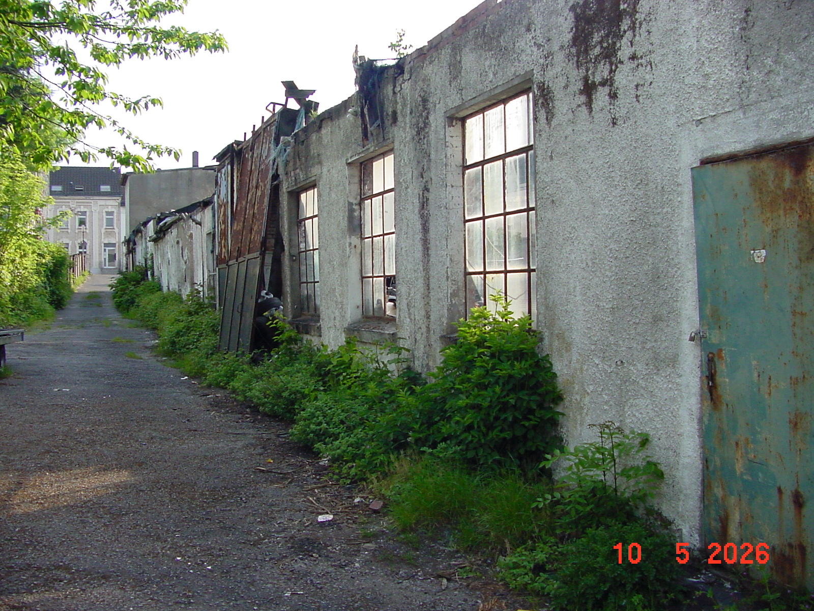 DSC00397.JPG