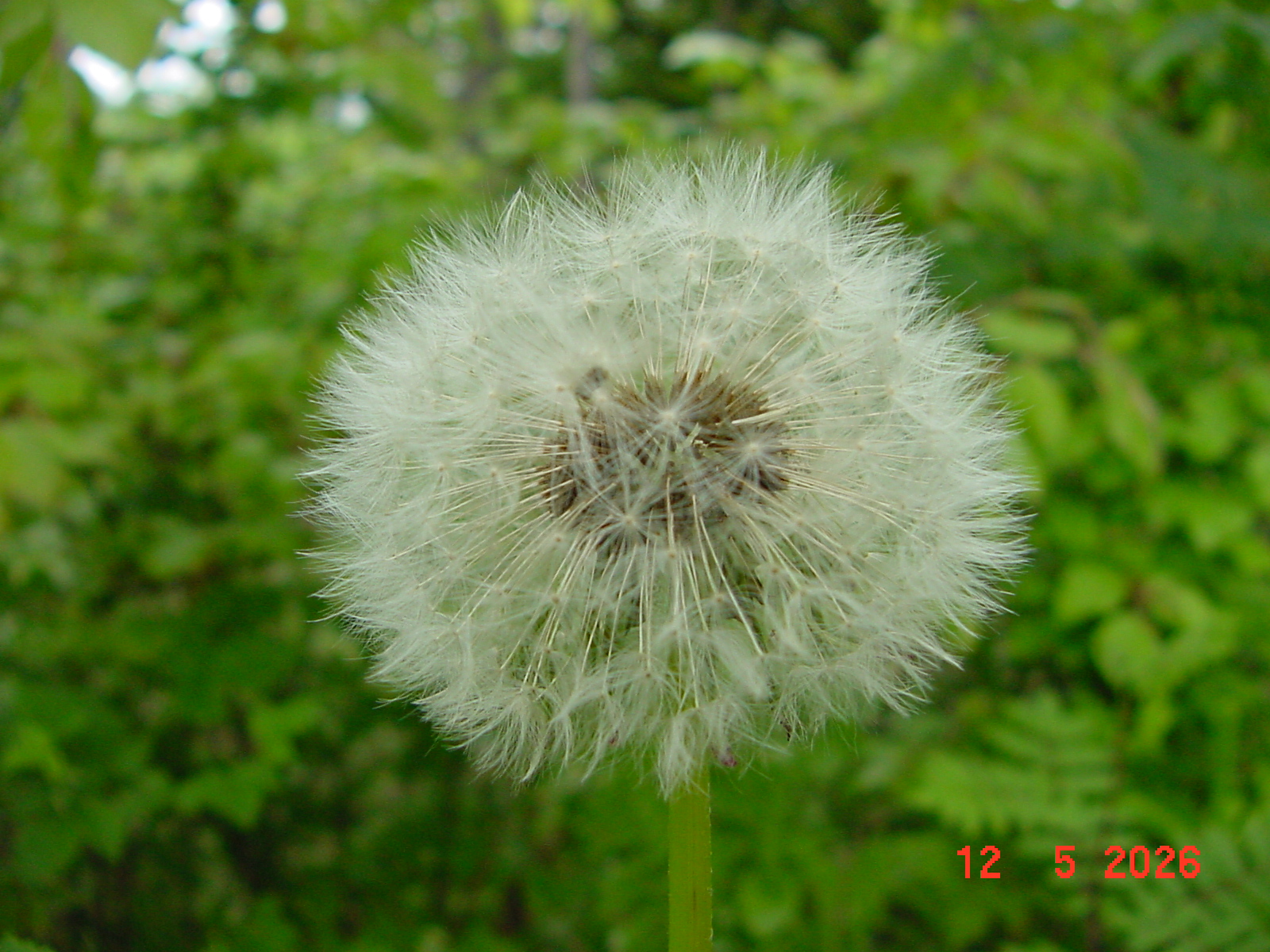 DSC00399.JPG