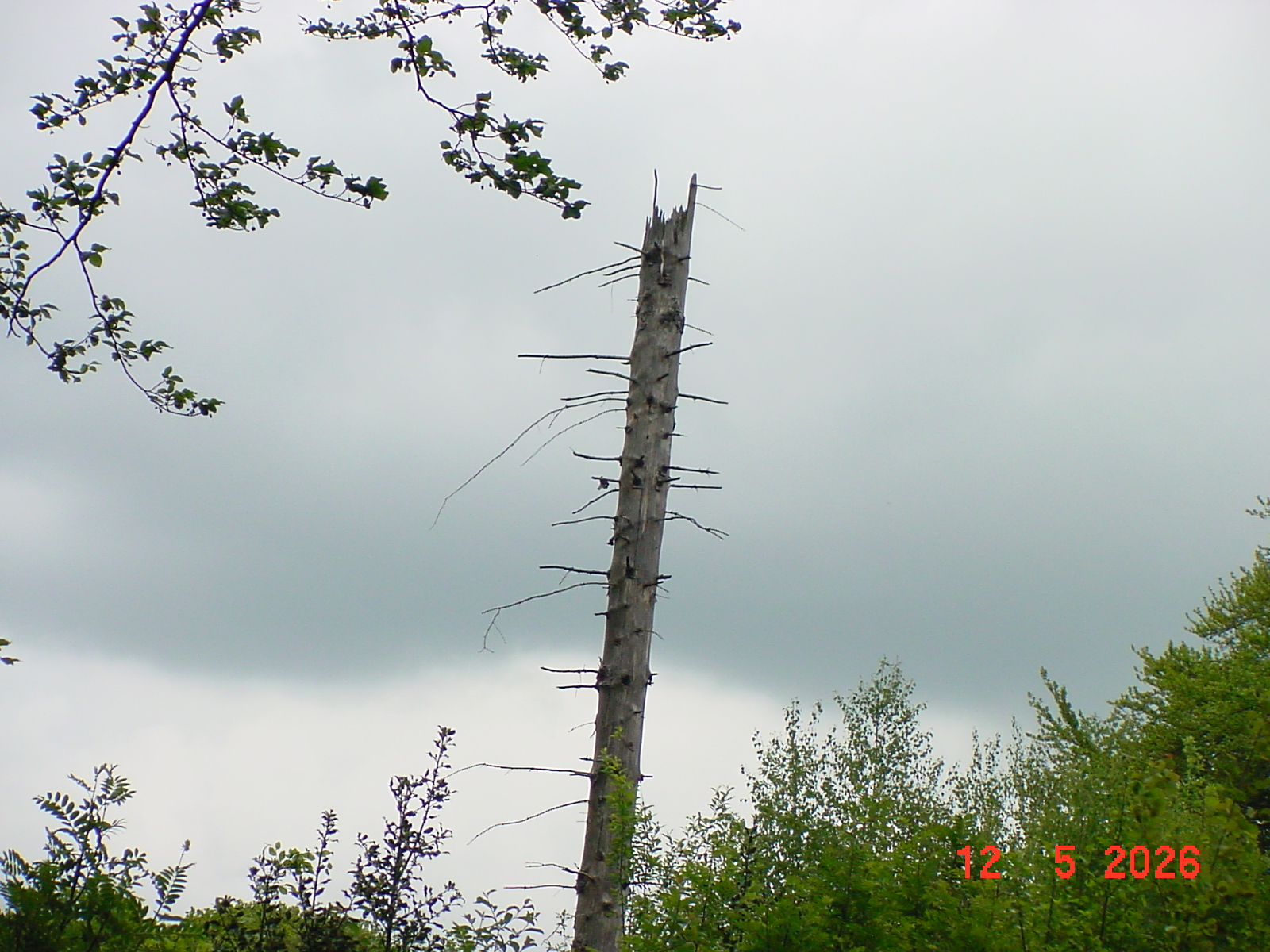 DSC00406.JPG