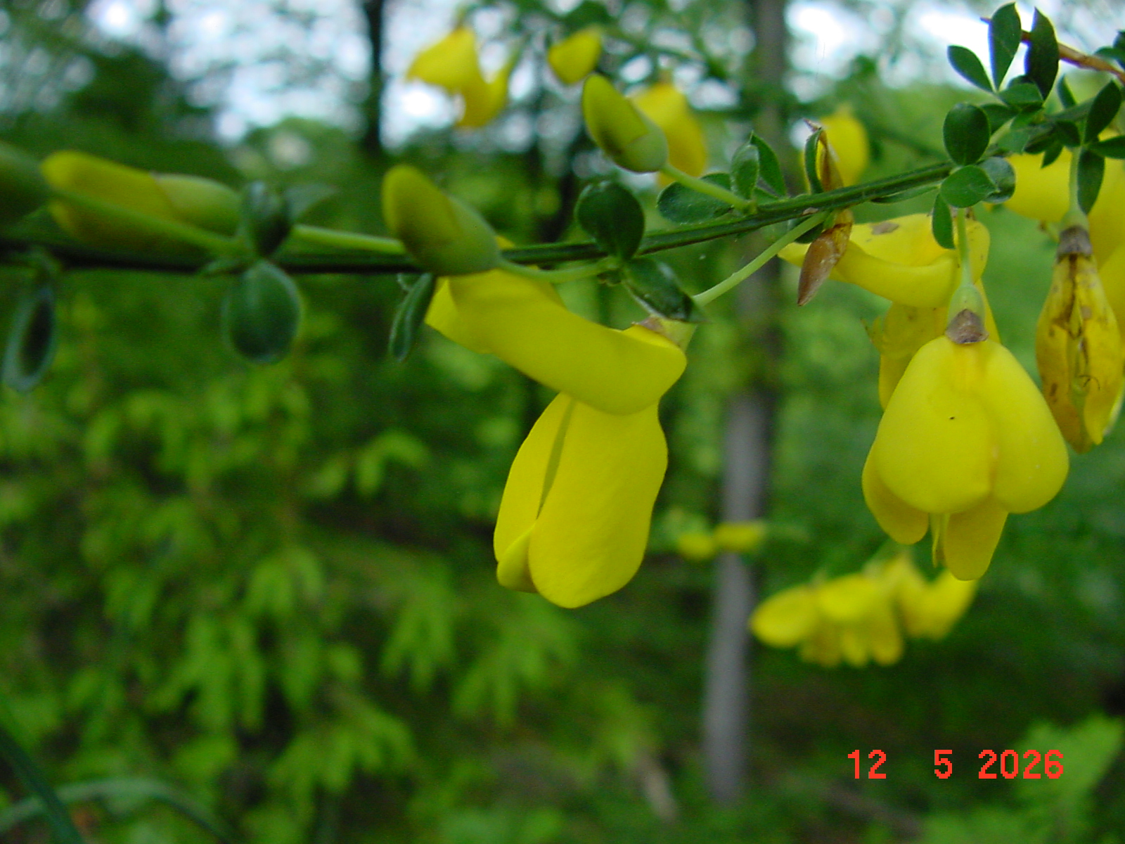 DSC00410.JPG