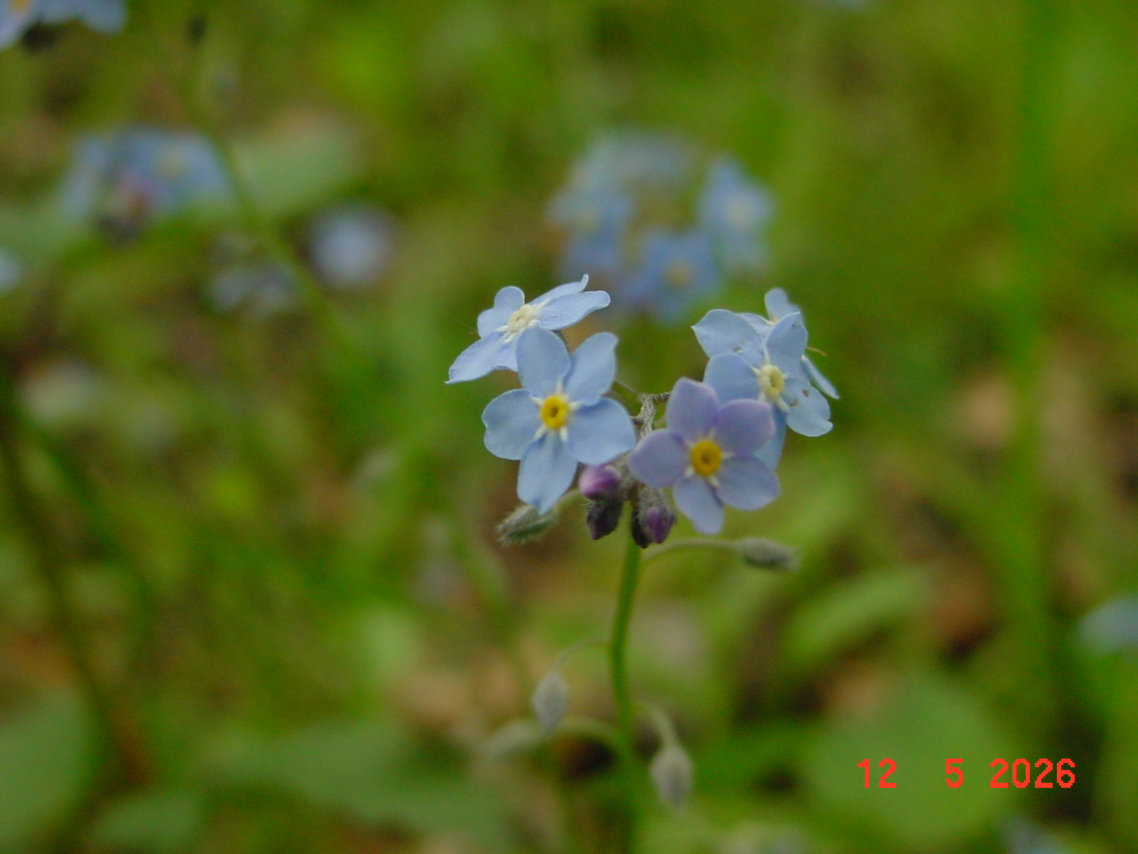 DSC00414.JPG
