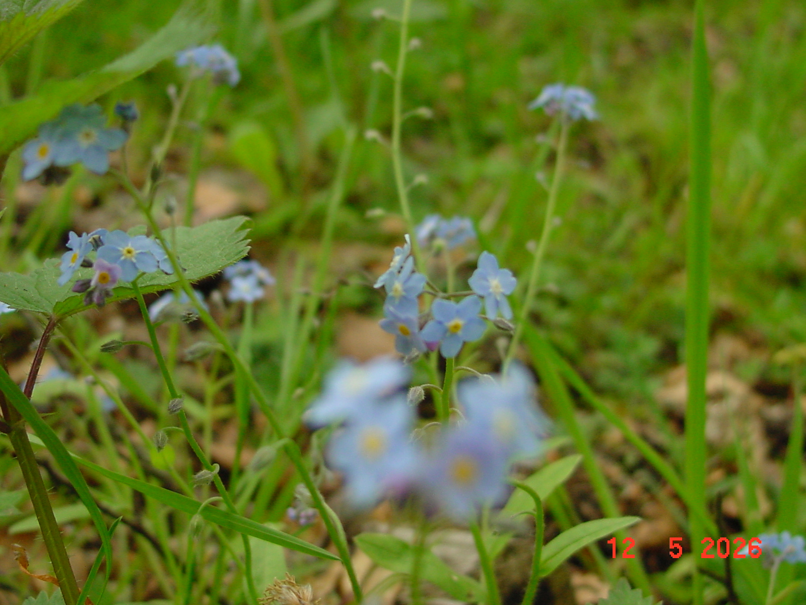 DSC00415.JPG
