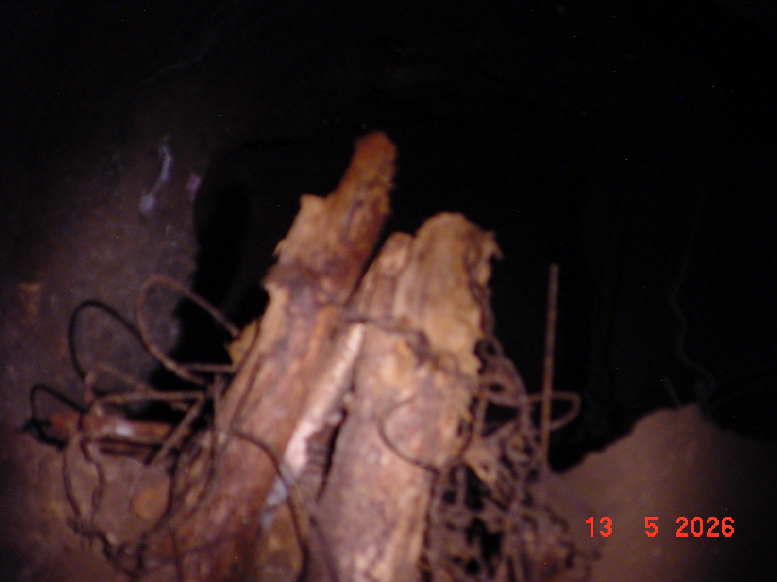 DSC00437.JPG