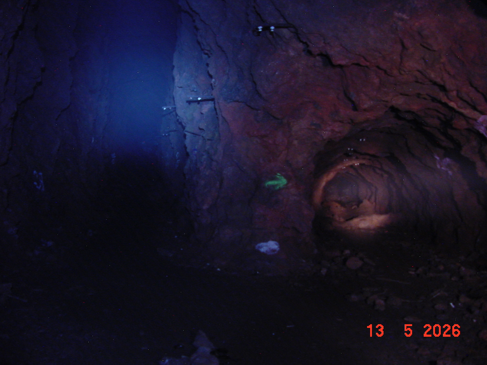 DSC00444.JPG