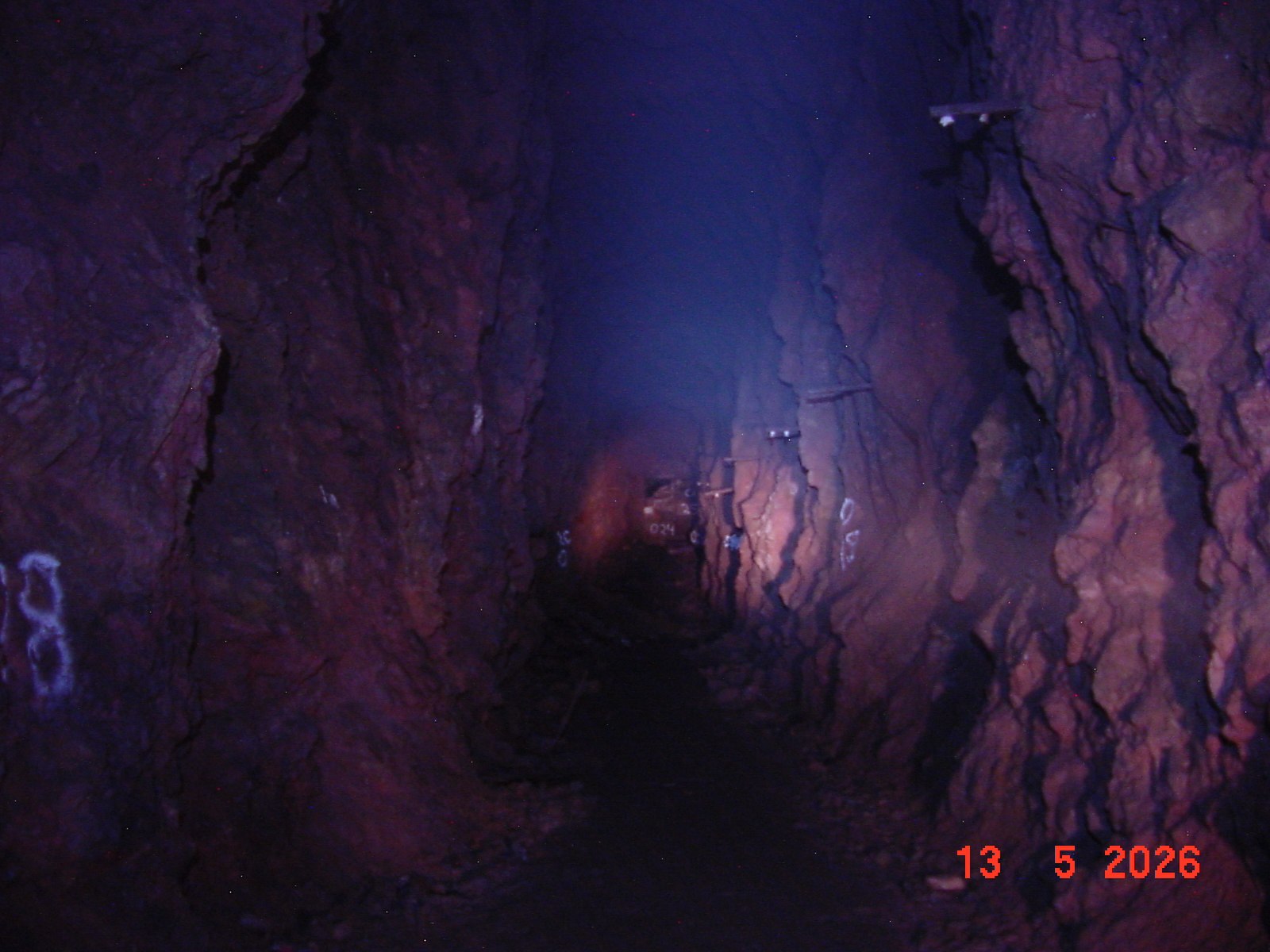 DSC00446.JPG