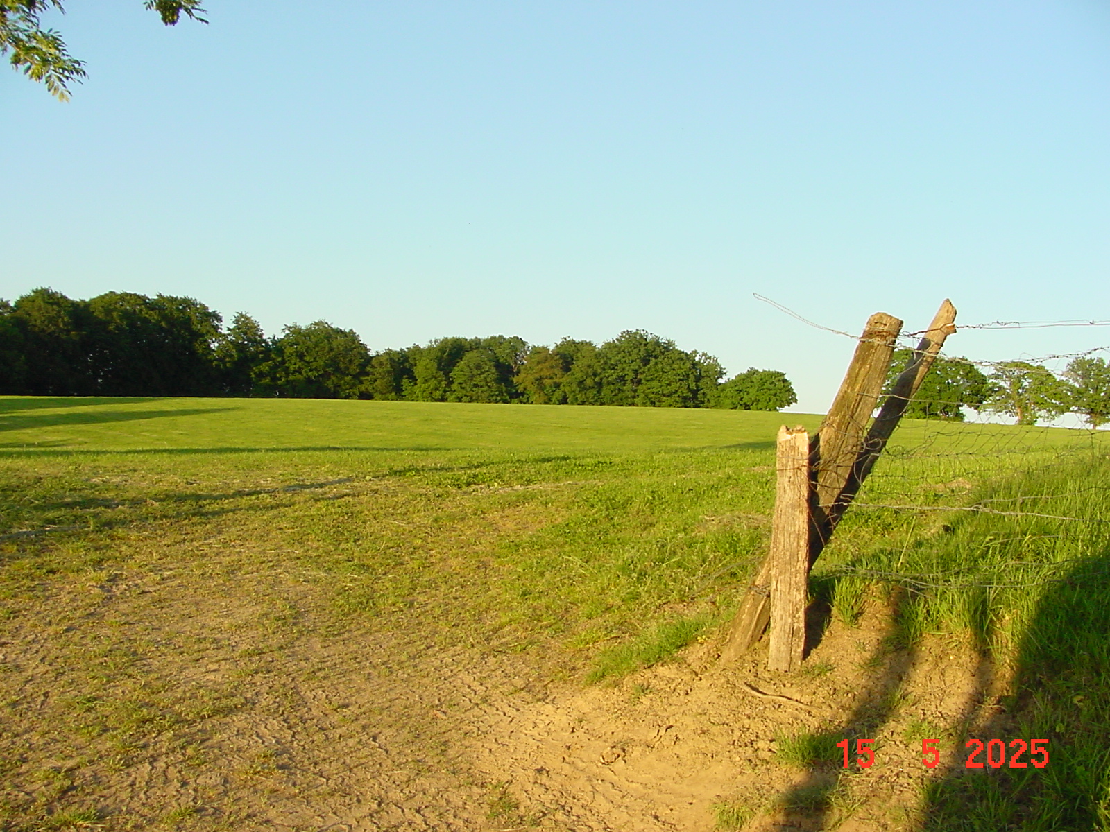 DSC00228.JPG