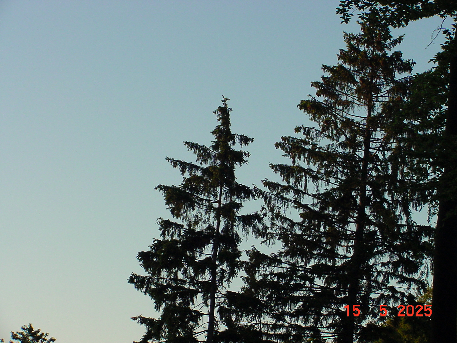 DSC00238.JPG