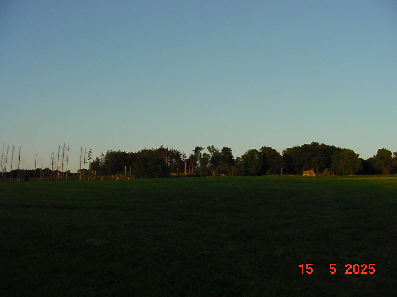 DSC00239.JPG