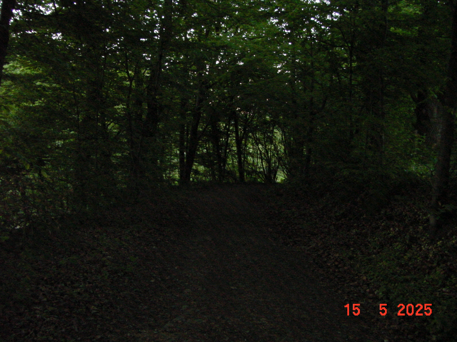 DSC00245.JPG