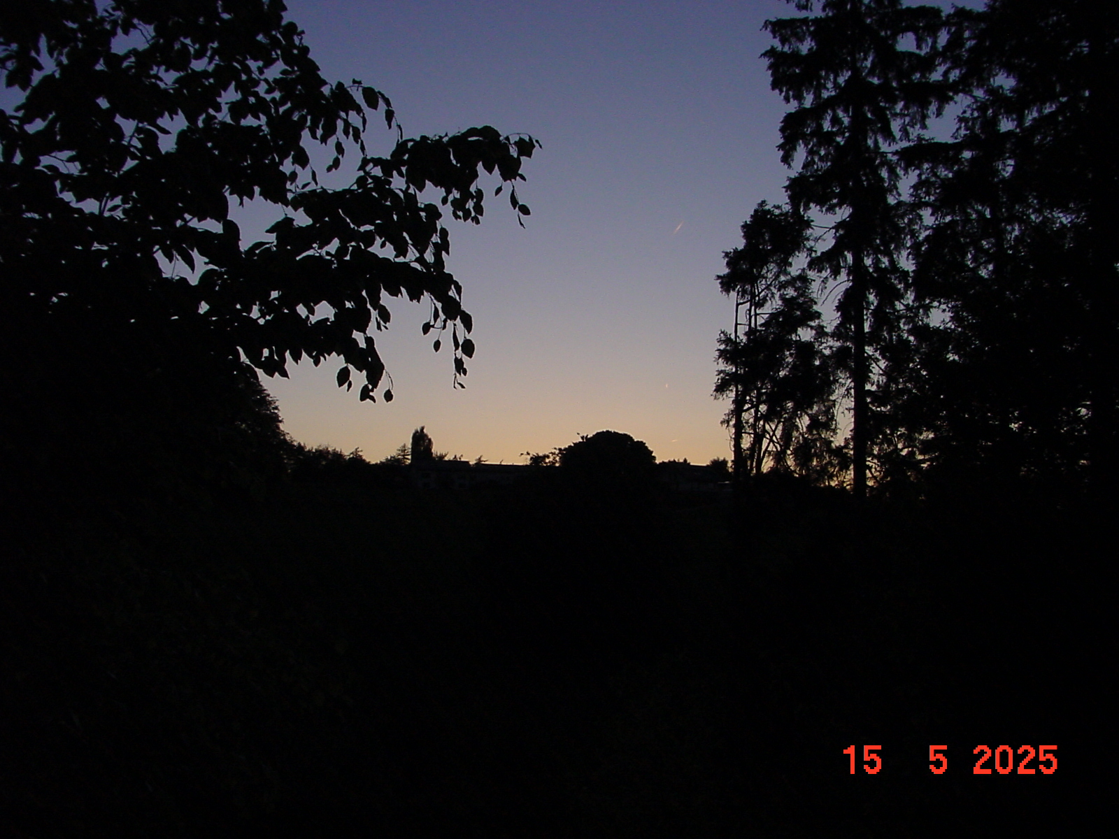 DSC00265.JPG