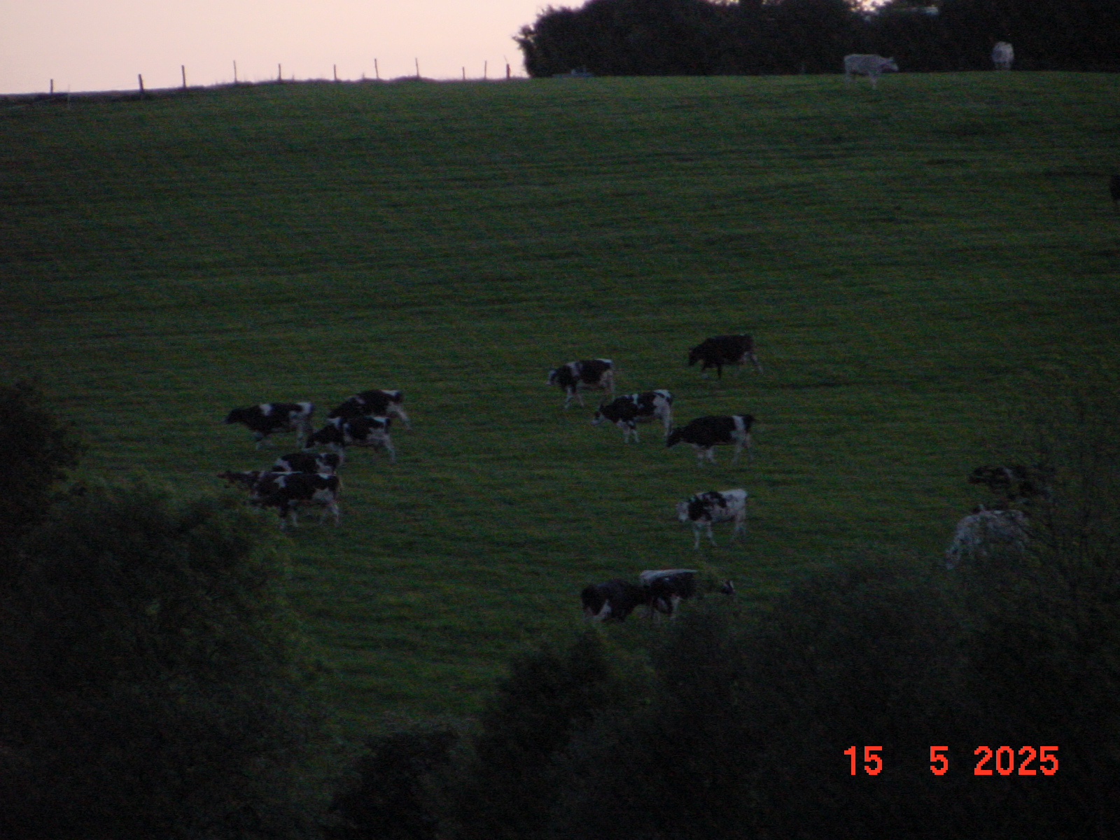 DSC00274.JPG