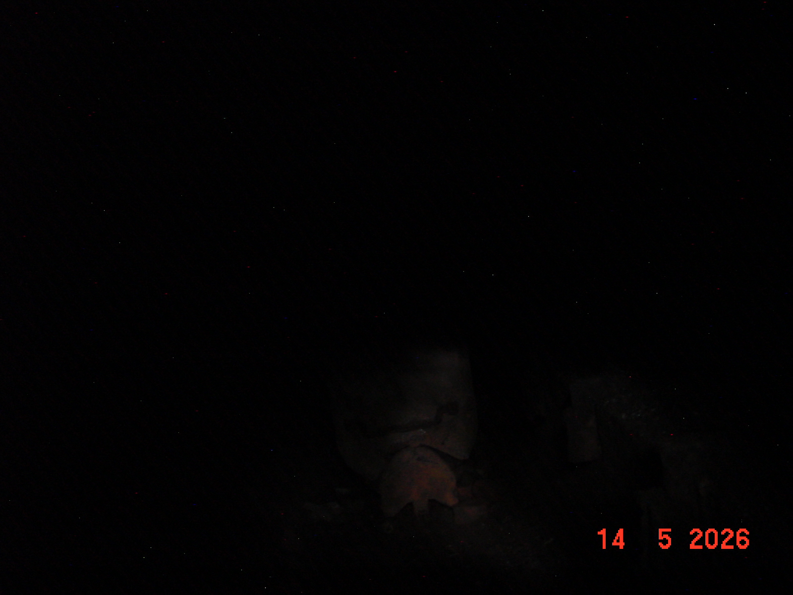 DSC00493.JPG