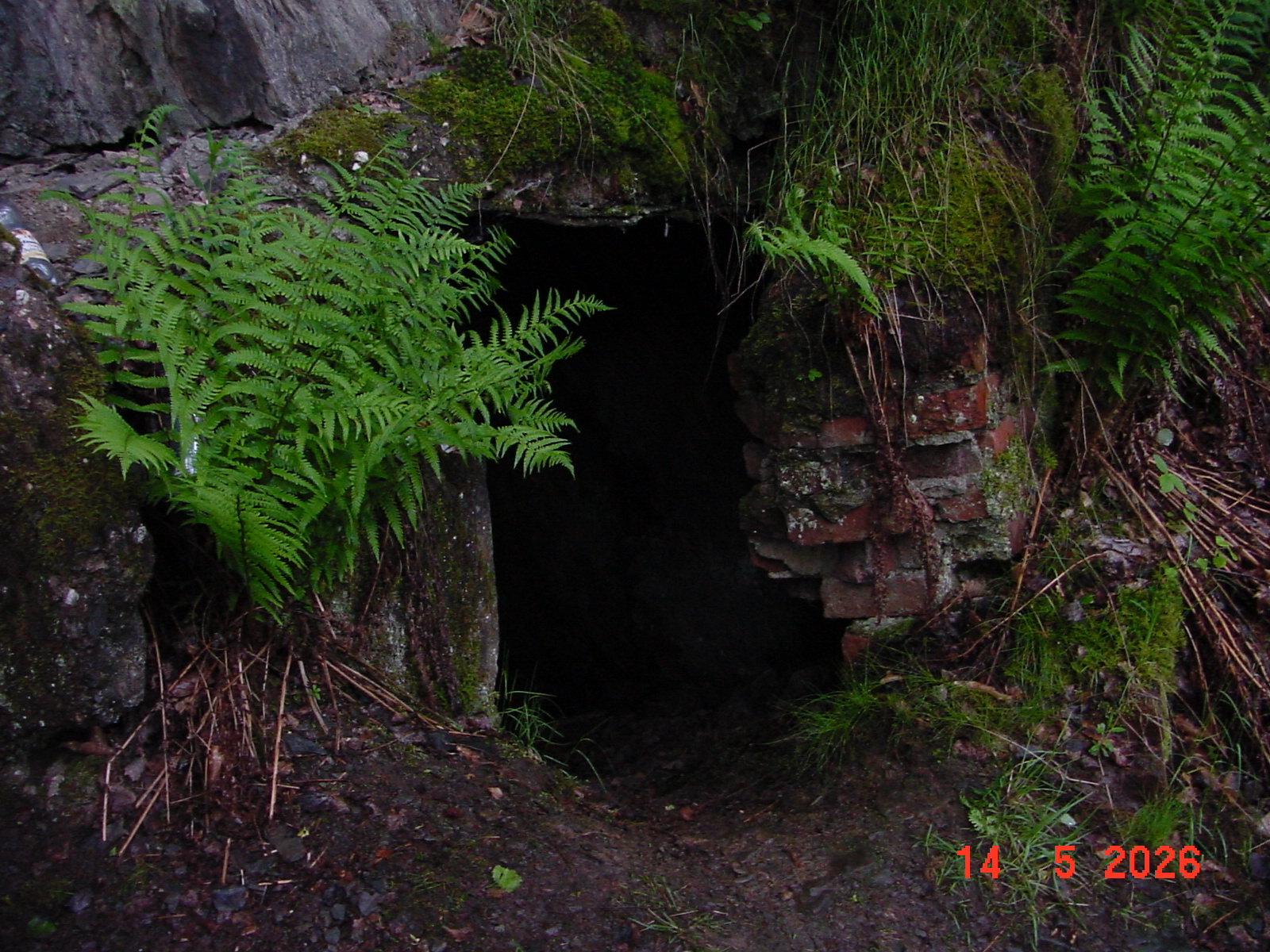 DSC00516.JPG