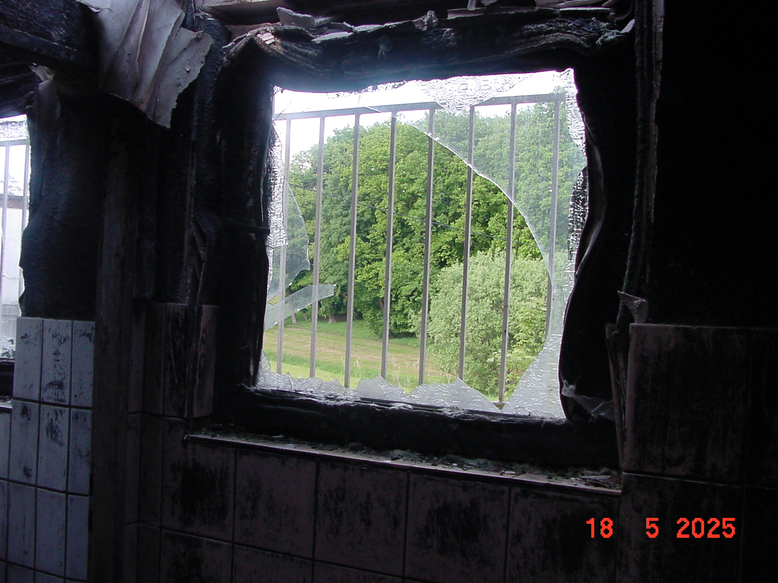DSC00305.JPG