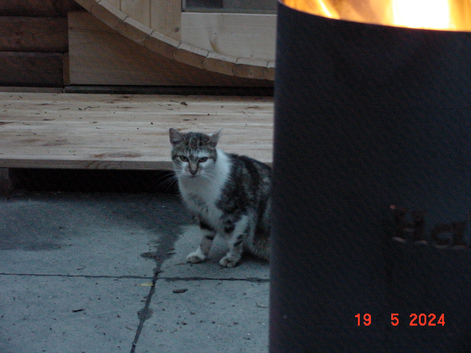 DSC00014.JPG