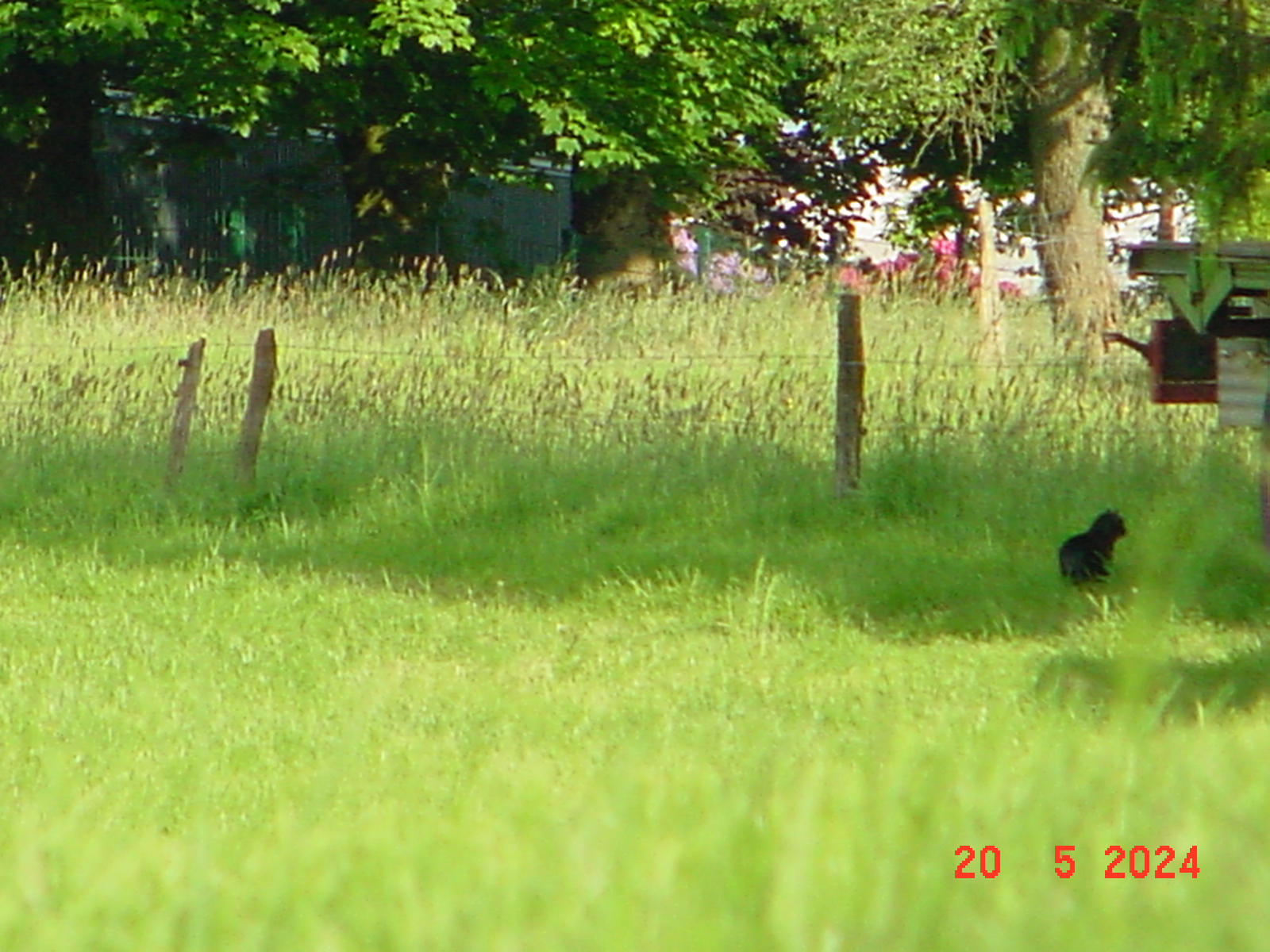 DSC00066.JPG