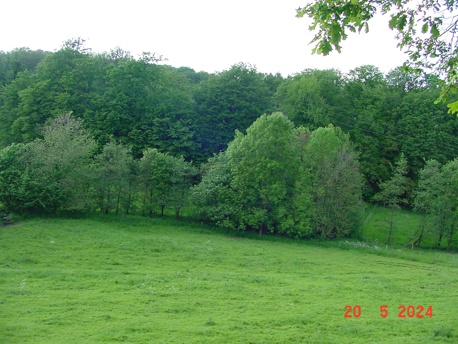 DSC00072.JPG