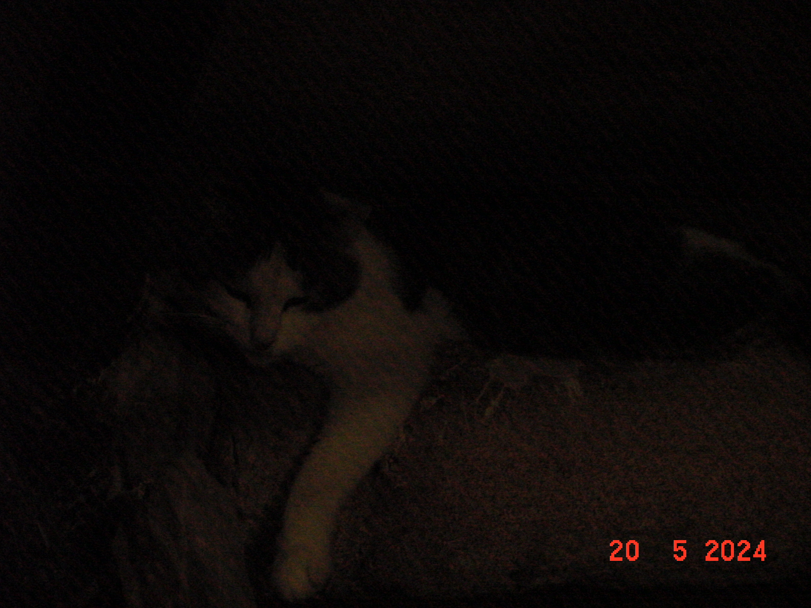 DSC00081.JPG