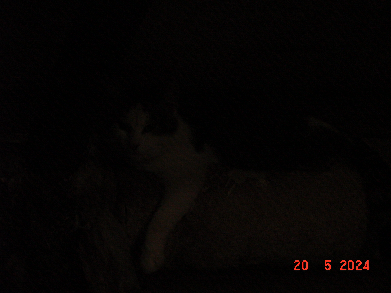 DSC00084.JPG