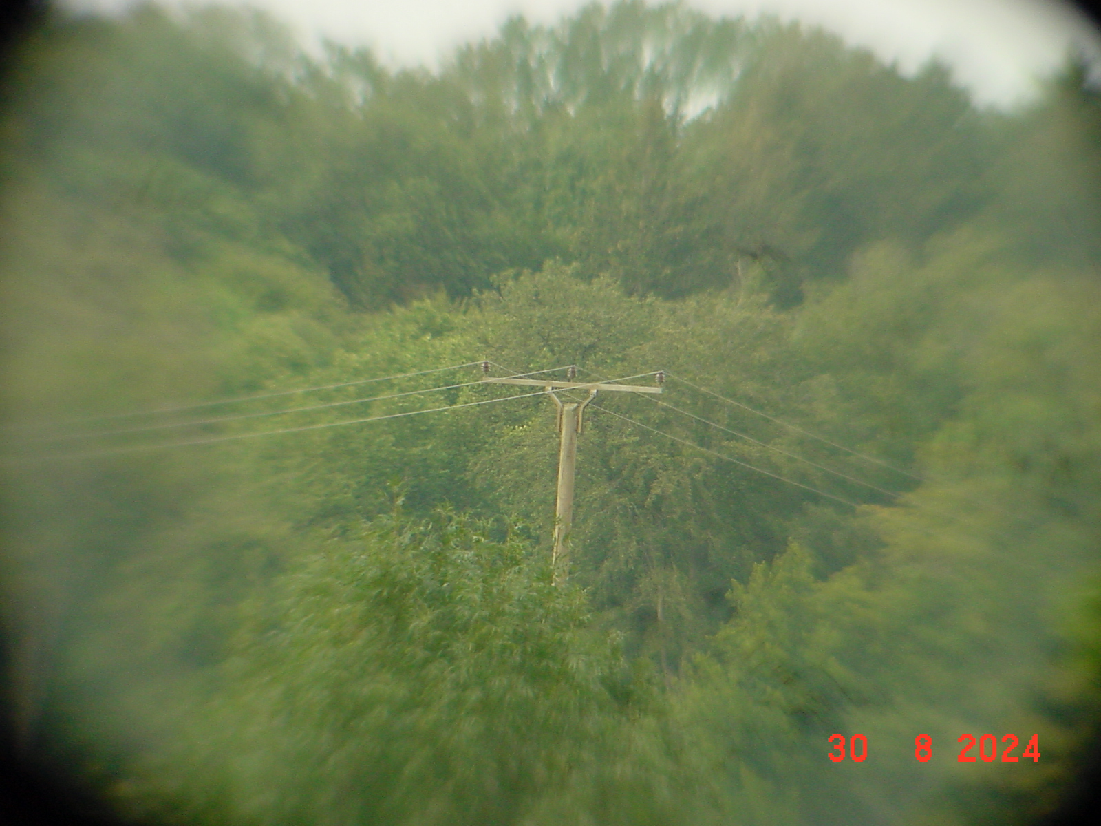 DSC00159.JPG