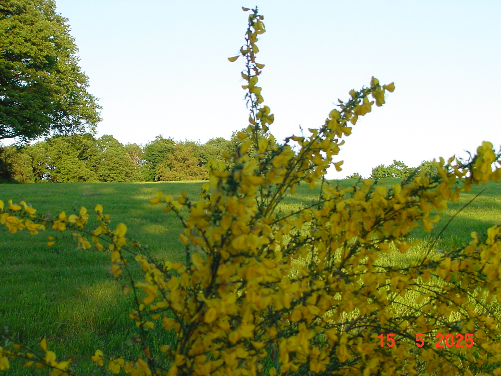 DSC00237.JPG