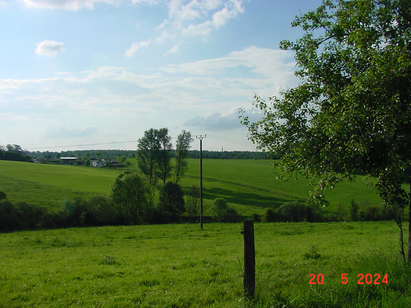 DSC00065.JPG